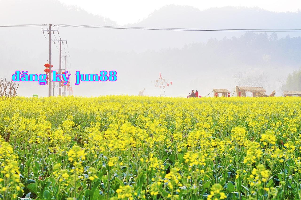 Featured image of post hands-on-group-query-attention-and-multi-query-attention - p88 nhà cái