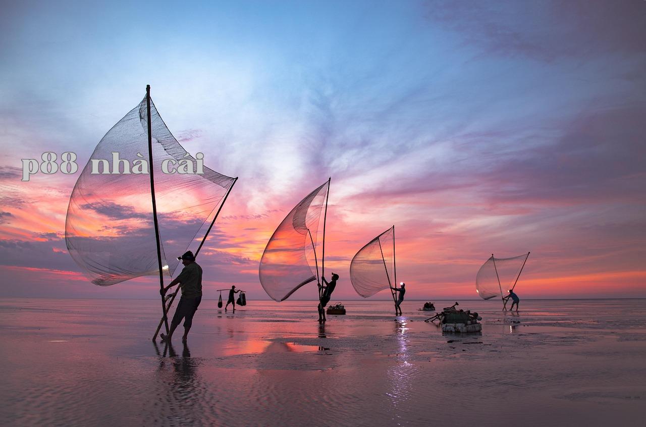 Featured image of post - Bạn sẽ học được gì - sunvip.club