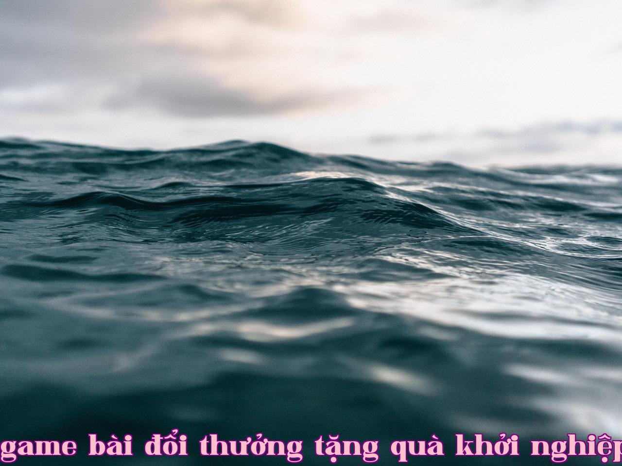Featured image of post Năm 2020 đã qua, tôi không hề nhớ nhung nó - đăng ký jun88